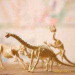 Набор для раскопок 4M Скелет тираннозавра