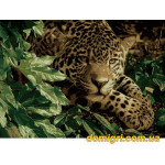 Рисование по номерам - Животные, птицы - Леопард на отдыхе (MG1002 Идейка)
