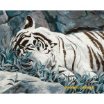 Рисование по номерам Белый Тигр 40х50 см (КН2453 Идейка)