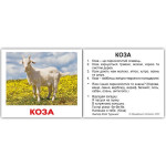 Картки по Доману Міні-40 - Свійські тварини з фактами (Вундеркинд с пеленок)