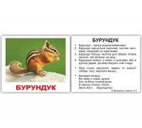 Картки по Доману Міні-40 - Дикі тварини з фактами (Вундеркинд с пеленок)